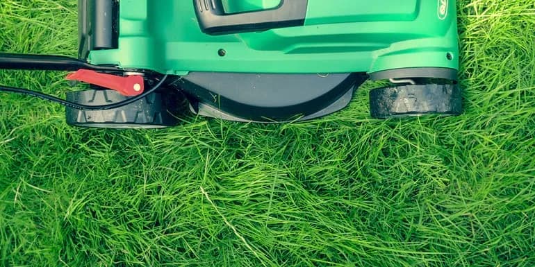 Jak kosić trawnik skutecznie i uniknąć najczęstszych błędów