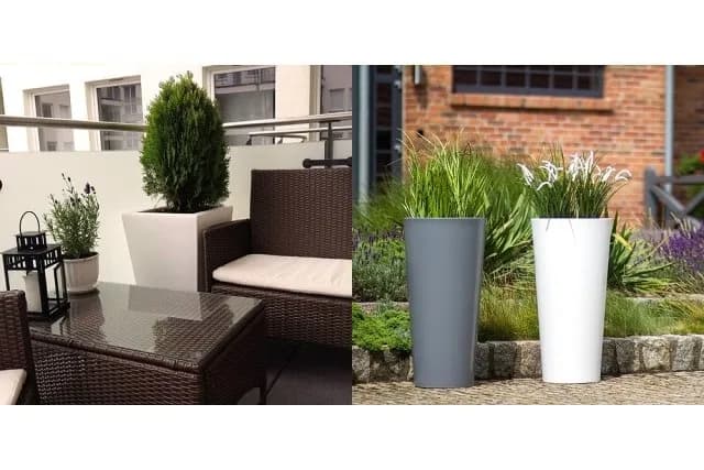 Co posadzić w wysokich donicach? Odkryj najlepsze rośliny do ogrodu