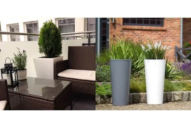 Co posadzić w wysokich donicach? Odkryj najlepsze rośliny do ogrodu