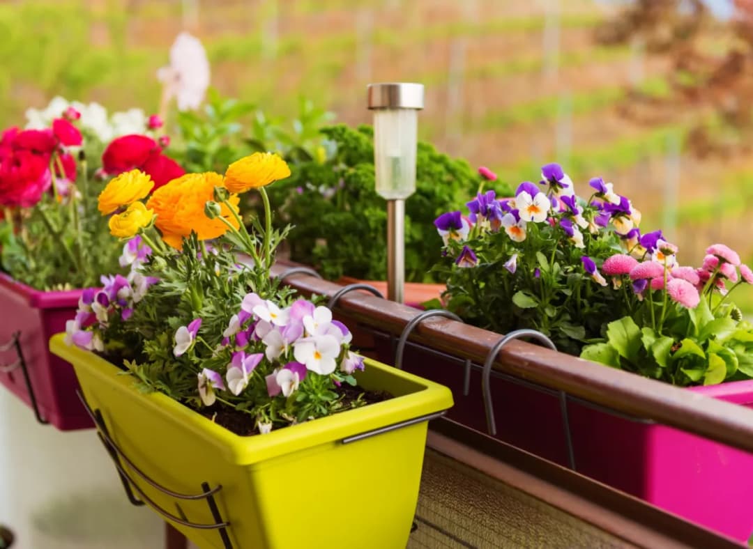 Jakie kwiaty na wiosnę do doniczek? Odkryj idealne rośliny balkonowe