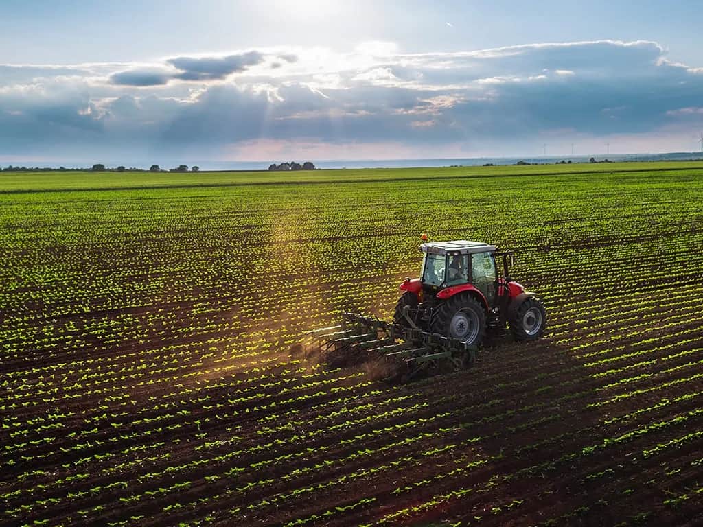 Kto płaci podatek od dzierżawy gruntu? Poznaj obowiązki podatkowe
