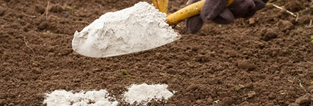 Jak stosować dolomit w ogrodzie, aby poprawić jakość gleby i rośliny