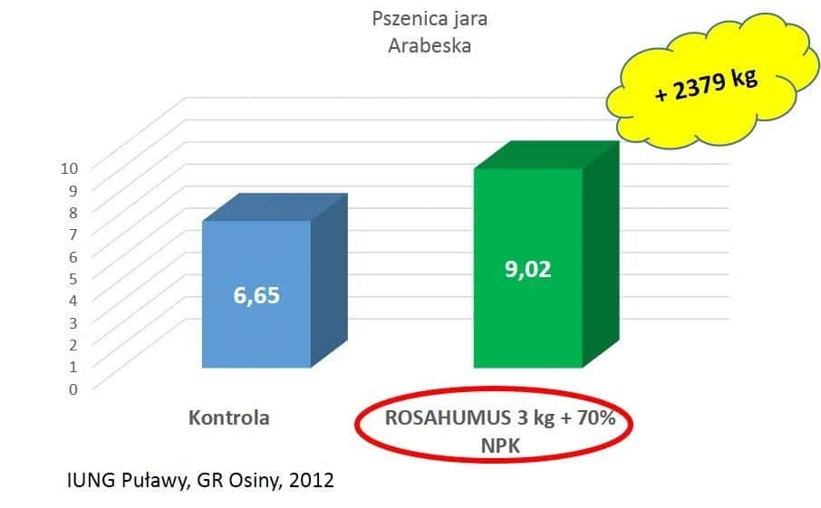 Jak uzupełnić fosfor w glebie, aby poprawić zdrowie roślin?